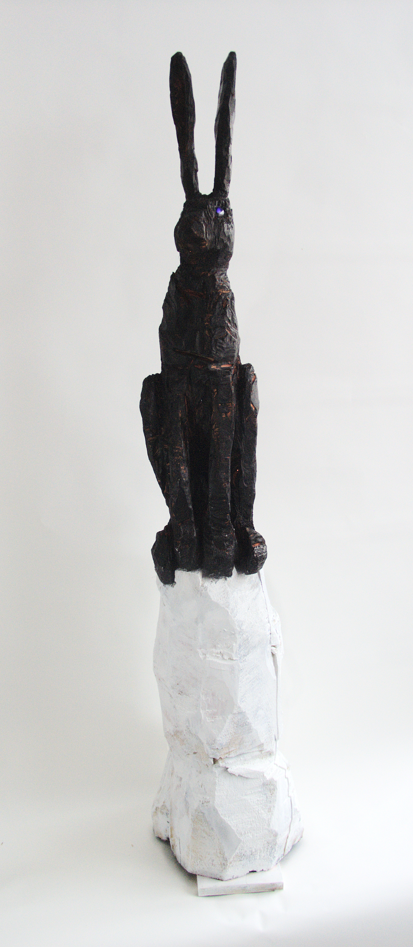black hare